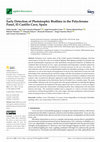 Research paper thumbnail of Early Detection of Phototrophic Biofilms in the Polychrome Panel, El Castillo Cave, Spain