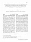 Research paper thumbnail of Collapse Sinkholes Distribution in the Carbonate Massifs of Central and Southern Apennines Razporeditev Udornic V Karbonatnih Delih Osrednjih in Južnih Apeninov