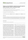 Research paper thumbnail of Snakes use microhabitats created by the great capricorn beetle Cerambyx cerdo in southwest Poland