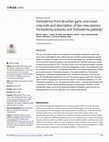 Research paper thumbnail of Trichoderma from Brazilian garlic and onion crop soils and description of two new species: Trichoderma azevedoi and Trichoderma peberdyi