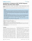 Research paper thumbnail of Identification of Hookworm DAF-16/FOXO Response Elements and Direct Gene Targets