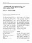 Research paper thumbnail of A contribution to the classification of evergreen azalea cultivars located in the Lake Maggiore area (Italy) by means of AFLP markers