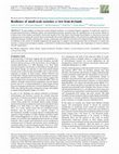 Research paper thumbnail of Resilience of small-scale societies: a view from drylands