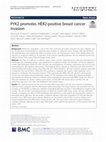 Research paper thumbnail of PYK2 promotes HER2-positive breast cancer invasion