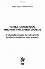 Research paper thumbnail of TUTELA JURISDICIONAL MEDIANTE PRECEDENTE JUDICIAL: a adequada proteção do ordenamento jurídico no modelo do justo processo