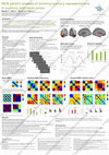 Research paper thumbnail of fMRI pattern analysis of working memory representations in auditory and visual cortex