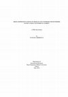 Research paper thumbnail of Media representations of migrant sex workers from former Soviet Union countries in Turkey