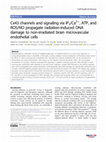 Research paper thumbnail of Cx43 channels and signaling via IP3/Ca2+, ATP, and ROS/NO propagate radiation-induced DNA damage to non-irradiated brain microvascular endothelial cells