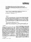 Two different glutamine synthetase isoforms are expressed in developing chickpea (Cicer arietinum L.) nodules Cover Page