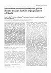 Research paper thumbnail of Sporulation-associated Mother Cell Lysis in <I>Bacillus</I> Displays Markers of Programmed Cell Death