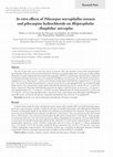 Research paper thumbnail of In vitro effects of Pilocarpus microphyllus extracts and pilocarpine hydrochloride on Rhipicephalus (Boophilus) microplus