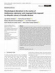 Research paper thumbnail of Morphological alterations in the ovaries of Amblyomma cajennense semi-engorged ticks exposed to ethanolic extract of Acmella oleracea