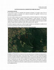 Research paper thumbnail of Cultivo de aguacate al noroeste del Cerro del Águila desde las normativas en ordenamiento territorial