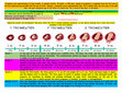 Research paper thumbnail of Stages of Fetal Development: Cheat Sheet