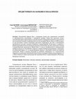 Research paper thumbnail of Предисторијата на Мaркови Кули кај Прилеп / The Prehistory of Markovi Kuli at Prilep