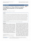 Research paper thumbnail of Investigations of Heavy Metal Ion Sorption Using Nanocomposites of Iron-Modified Biochar