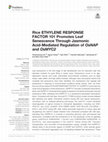 Research paper thumbnail of Rice ETHYLENE RESPONSE FACTOR 101 Promotes Leaf Senescence Through Jasmonic Acid-Mediated Regulation of OsNAP and OsMYC2