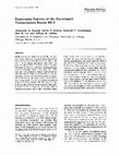 Research paper thumbnail of Expression Pattern of the Ets-related Transcription Factor Elf-1