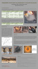 Research paper thumbnail of Palaeolithic birch bark tar production in mound structures