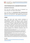 Research paper thumbnail of Russo низкоуровневый