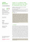 Research paper thumbnail of Caryolan-1-ol, an antifungal volatile produced by Streptomyces spp., inhibits the endomembrane system of fungi