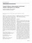 Research paper thumbnail of Vitamin D deficiency during pregnancy and lactation stimulates nephrogenesis in rat offspring