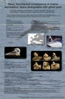 Research paper thumbnail of Newly documented consequence of dolphin depredation: larynx strangulation with gillnet parts