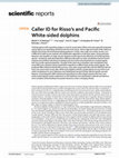 Research paper thumbnail of Caller ID for Risso's and Pacific White-Sided Dolphins