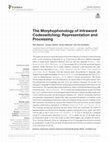 Research paper thumbnail of The Morphophonology of Intraword Codeswitching: Representation and Processing