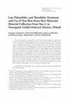 Research paper thumbnail of Late Palaeolithic and Mesolithic Treatment and Use of Non-flint Stone Raw Materials: Material Collection From Site 17 at Nowogród, Golub-Dobrzyń District, Poland