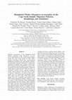 Research paper thumbnail of Humpback Whales (Megaptera novaeangliae) in the Cape Verde Islands: Migratory Patterns, Resightings, and Abundance