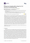 Research paper thumbnail of Extreme Low Cytosolic pH Is a Signal for Cell Survival in Acid Stressed Yeast