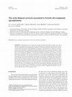 Research paper thumbnail of The actin filament network associated to Sertoli cell ectoplasmic specializations