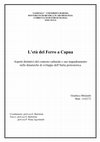 Research paper thumbnail of L’età del Ferro a Capua: Aspetti distintivi del contesto culturale e suo inquadramento nelle dinamiche di sviluppo dell’Italia protostorica