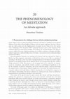 THE PHENOMENOLOGY OF MEDITATION Cover Page