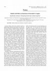 Research paper thumbnail of Bamboo Salt Effects on Hydrolysis of Estertin(IV) Complex