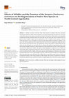 Research paper thumbnail of Effects of Wildfire and the Presence of the Invasive Paulownia tomentosa on the Regeneration of Native Tree Species in North-Central Appalachia