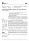 Research paper thumbnail of Multi-Omic Analysis of Two Common P53 Mutations: Proteins Regulated by Mutated P53 as Potential Targets for Immunotherapy