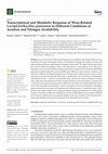 Research paper thumbnail of Transcriptional and Metabolic Response of Wine-Related Lactiplantibacillus plantarum to Different Conditions of Aeration and Nitrogen Availability