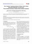 Research paper thumbnail of The Catalytic Copolymerization of Ethene with Carbon Monoxide Efficiently Carried out in Water-Dichloromethane-Sodium Dodecylsulfate Emulsion