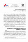 Research paper thumbnail of Zeytinburnu Kentsel Mekânında Soydaş Diyasporasının Örgütlenmesi