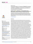 Characterization of cassava ORANGE proteins and their capability to increase provitamin A carotenoids accumulation Cover Page