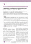 Research paper thumbnail of The prevalence of multidrug-resistant Salmonella in raw shrimp and octopus in Campeche, México