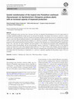 Genetic transformation of the tropical vine Pentalinon andrieuxii (Apocynaceae) via Agrobacterium rhizogenes produces plants with an increased capacity of terpenoid production Cover Page