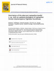 Research paper thumbnail of Description of the aberrant Leptopilina lasallei n. sp., with an updated phylogeny of Leptopilina Förster (Hymenoptera: Figitidae: Eucoilinae)