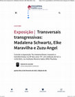 Research paper thumbnail of Transversais transgressivas: Madalena Schwartz, Elke Maravilha e Zuzu Angel