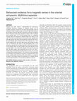 Research paper thumbnail of Behavioral evidence for a magnetic sense in the oriental armyworm, Mythimna separata