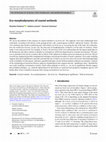 Research paper thumbnail of Eco-morphodynamics of coastal wetlands