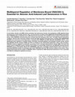 Research paper thumbnail of Multilayered Regulation of Membrane-Bound ONAC054 Is Essential for Abscisic Acid-Induced Leaf Senescence in Rice