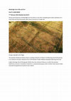 Research paper thumbnail of Windridge Farm Villa and Fort